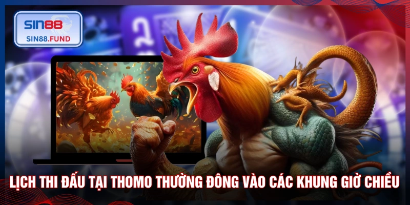 Lịch thi đấu tại Thomo thường đông vào các khung giờ chiều 